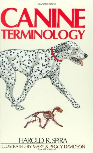 americanbookwarehouse10-870717
