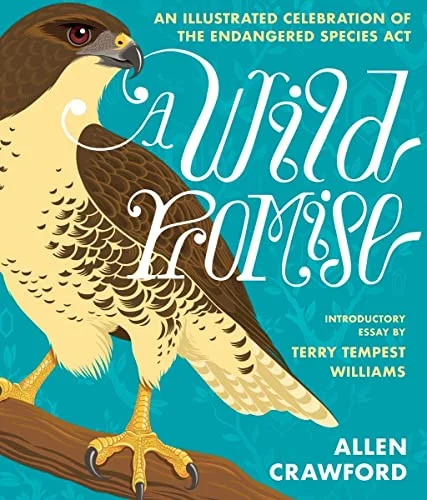 americanbookwarehouse10-878082