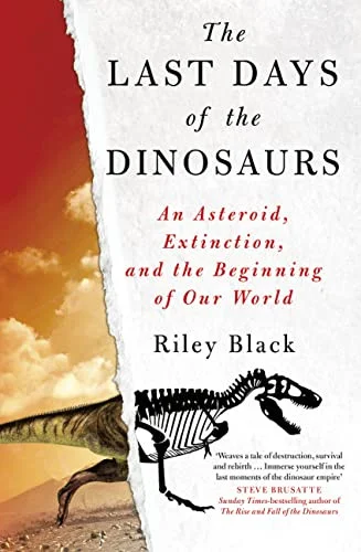 americanbookwarehouse10-884896