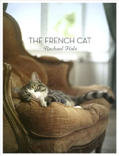 americanbookwarehouse10-895320