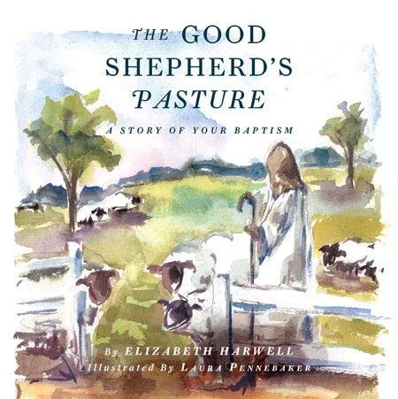 americanbookwarehouse10-900492