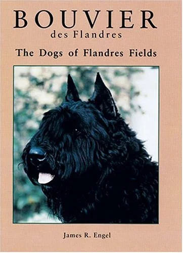americanbookwarehouse10-900582