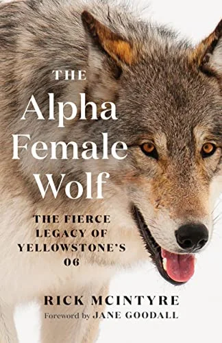 americanbookwarehouse10-901286