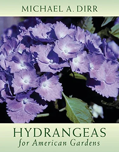 americanbookwarehouse10-901800