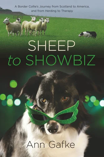 americanbookwarehouse11-1070639