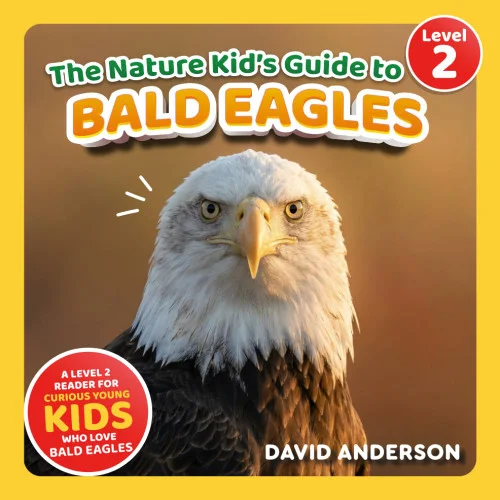 americanbookwarehouse11-1088845