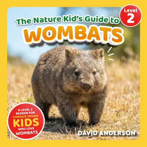 americanbookwarehouse11-1088861