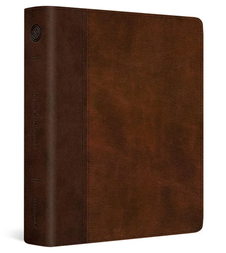 americanbookwarehouse11-1102203