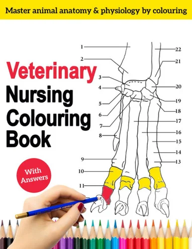 americanbookwarehouse11-1117279
