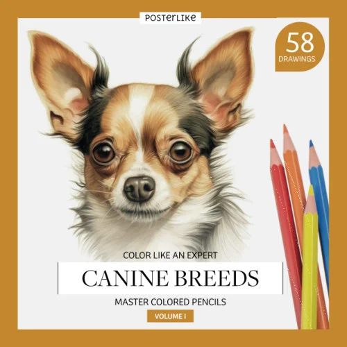 americanbookwarehouse11-1122691