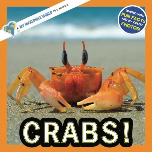americanbookwarehouse11-1123384