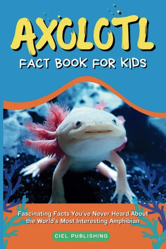 americanbookwarehouse11-1123803