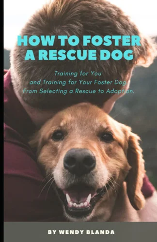 americanbookwarehouse11-1124884