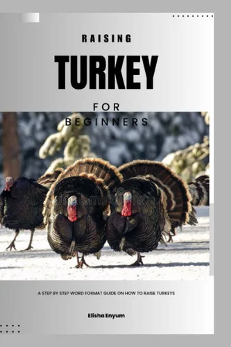 americanbookwarehouse11-1127407