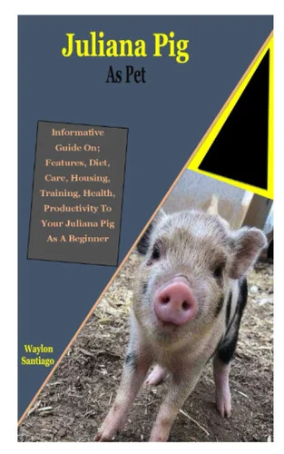 americanbookwarehouse11-1128776