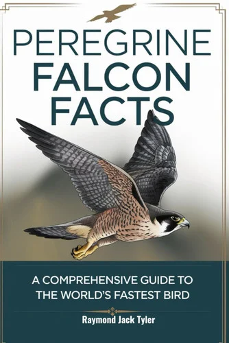 americanbookwarehouse11-1130659