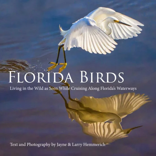 americanbookwarehouse11-1137446