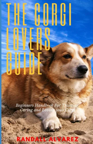 americanbookwarehouse11-1142443