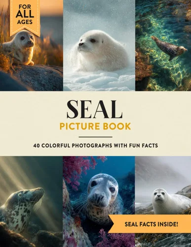 americanbookwarehouse12-1797580