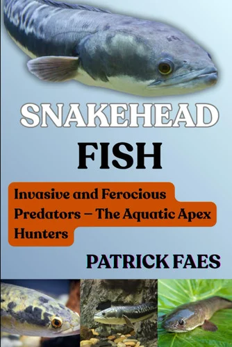 americanbookwarehouse12-1807888