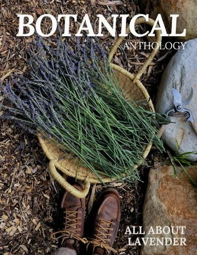 americanbookwarehouse12-1829006