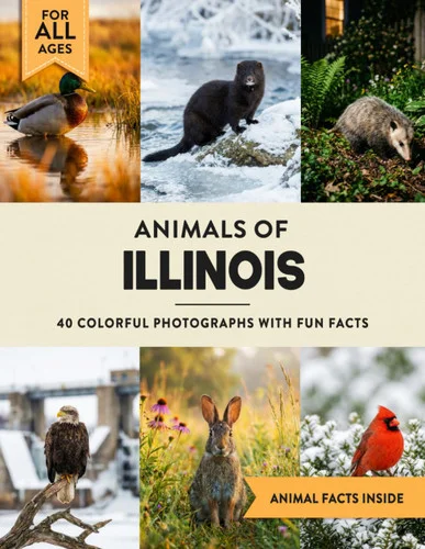 americanbookwarehouse12-1830912