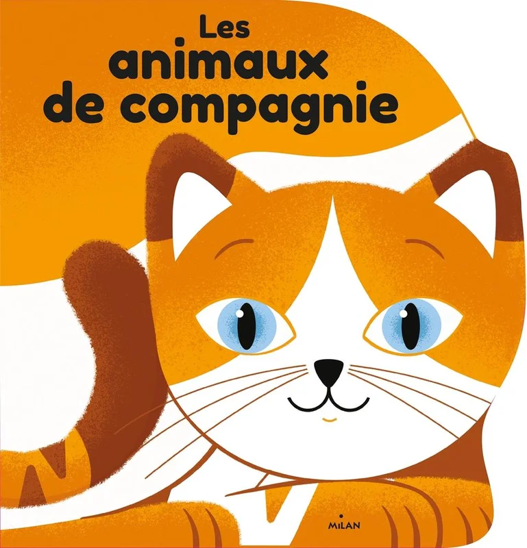 antoineonline8-1290102