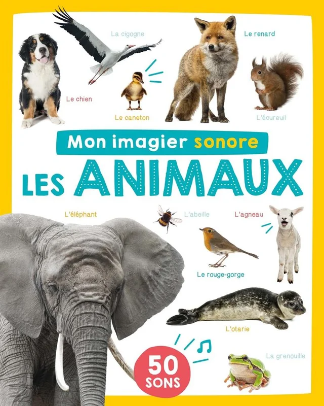 antoineonline9-1336967