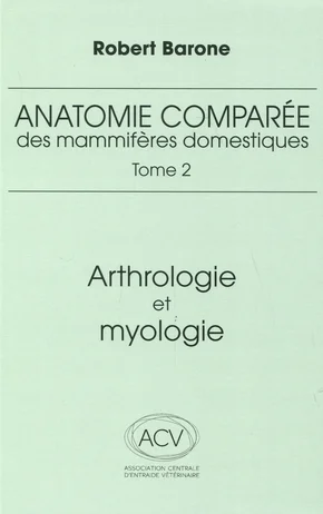 antoineonline9-1339870