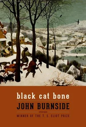 bookcellarinc5-1549351