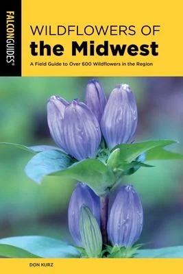 discountmags12-1583470