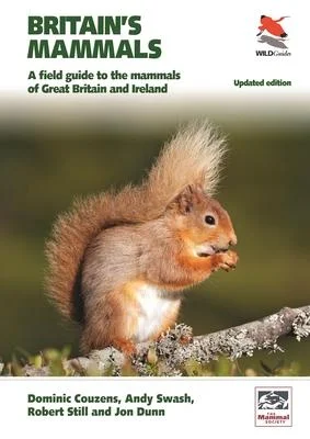 discountmags13-1580694
