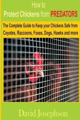 discountmags13-1590897