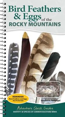 discountmags13-1655847