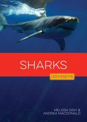discountmags15-1675021
