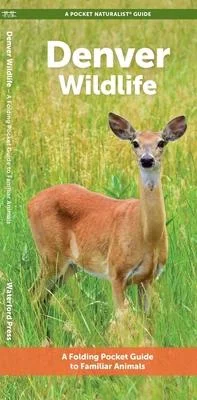 discountmags15-1756770