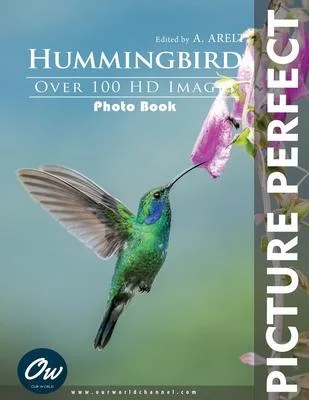 discountmags15-1771405