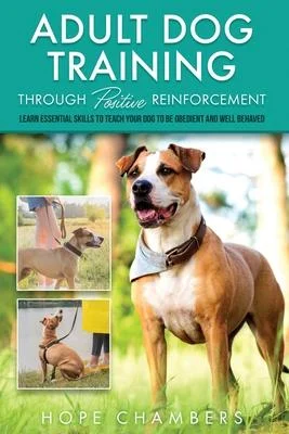 discountmags8-1201927