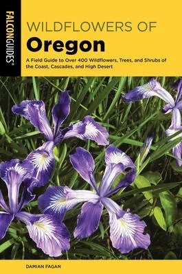 discountmags9-1281905