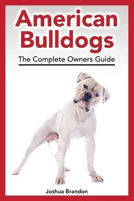 discountmags9-1315302