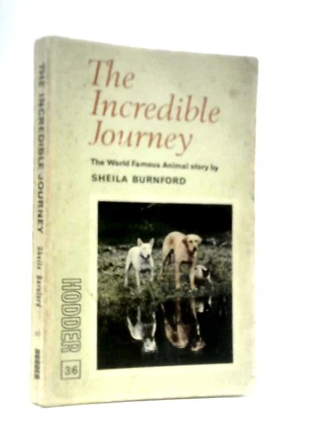 worldofbooks19-1556677